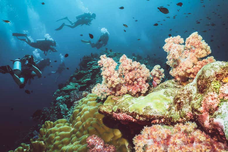 Un sitio genial para practicar buceo