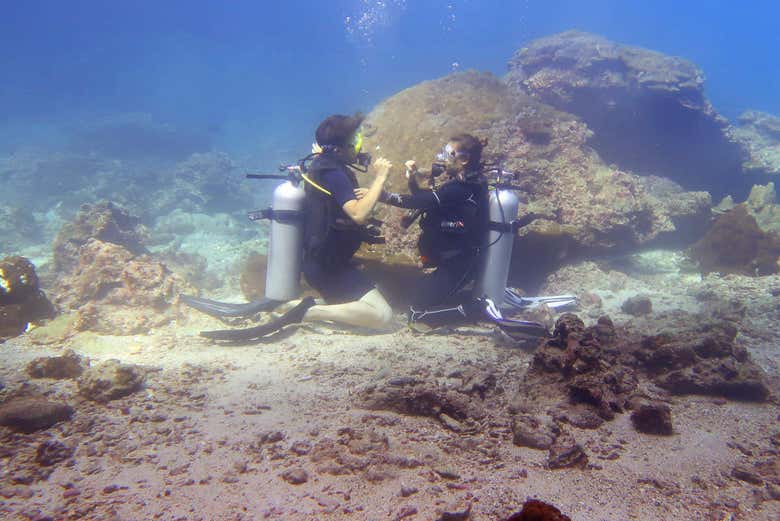 Pareja buceando en aguas de Phi Phi