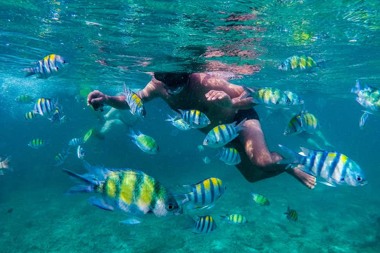 Praticando snorkel
