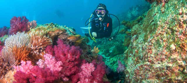 Mergulho em Koh Rang