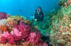 Mergulho em Koh Rang