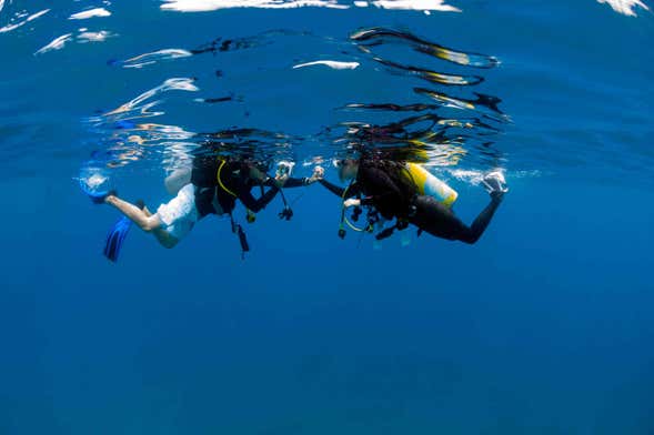 Curso de buceo PADI Open Water