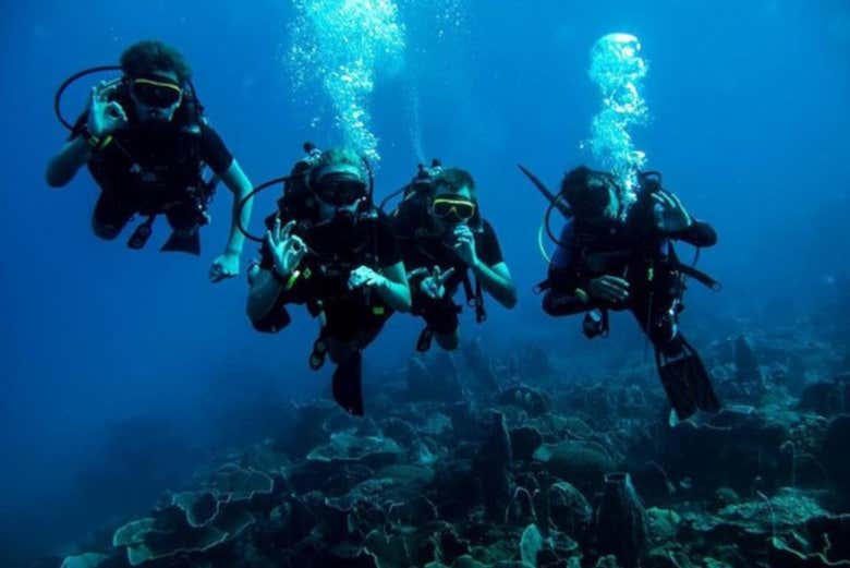 Alunos do curso PADI Open Water