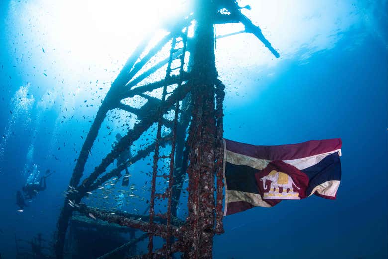 Flag flying in the waves