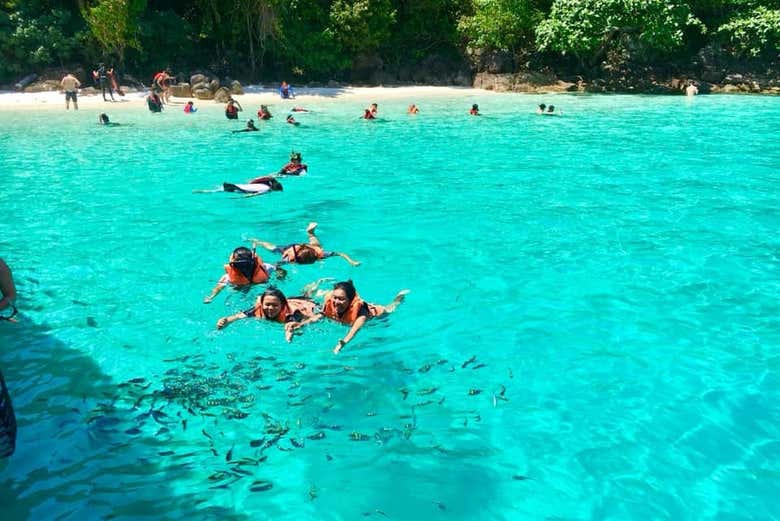 Snorkeling during the activity