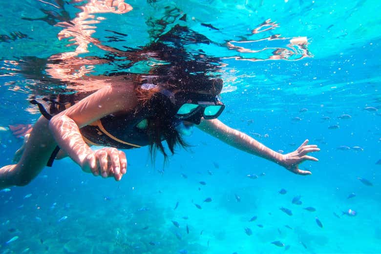 Admiring Koh Rang's seabed