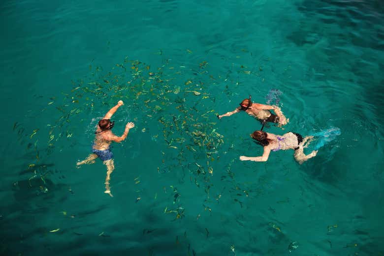 Snorkelling on Koh Chang