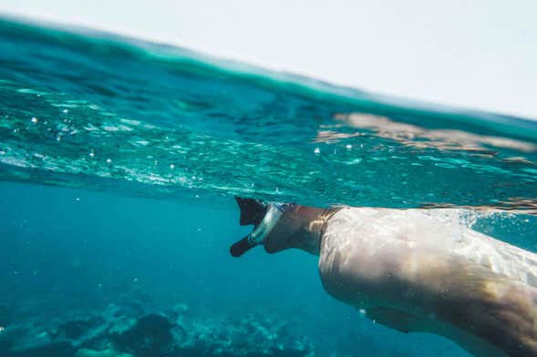 Snorkeling à Koh Chang