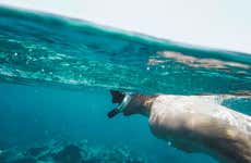 Snorkel em Koh Chang