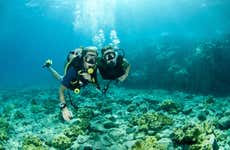Koh Chang Diving Adventure