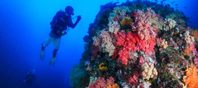 Cours de plongée PADI Open Water
