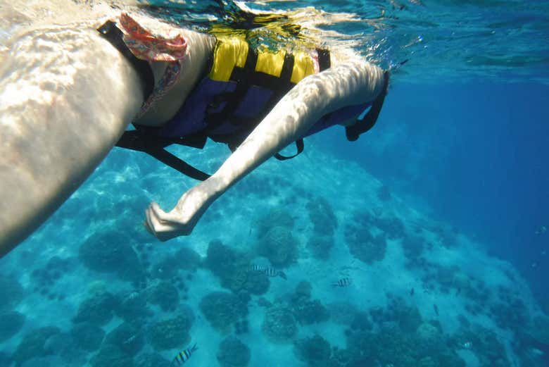 Learning to dive in Koh Kut