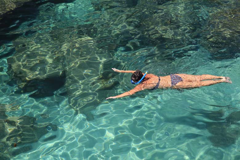 Snorkeling a Koh Kut