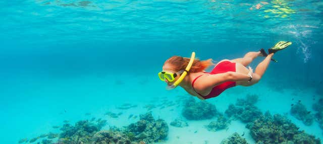 Snorkeling à Koh Kood