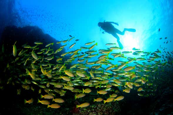 Buceo en Koh Kood + Cascada Klong Yakki