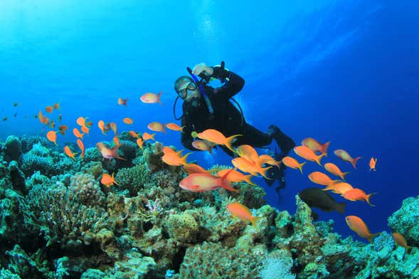 Buceo en Koh Rang