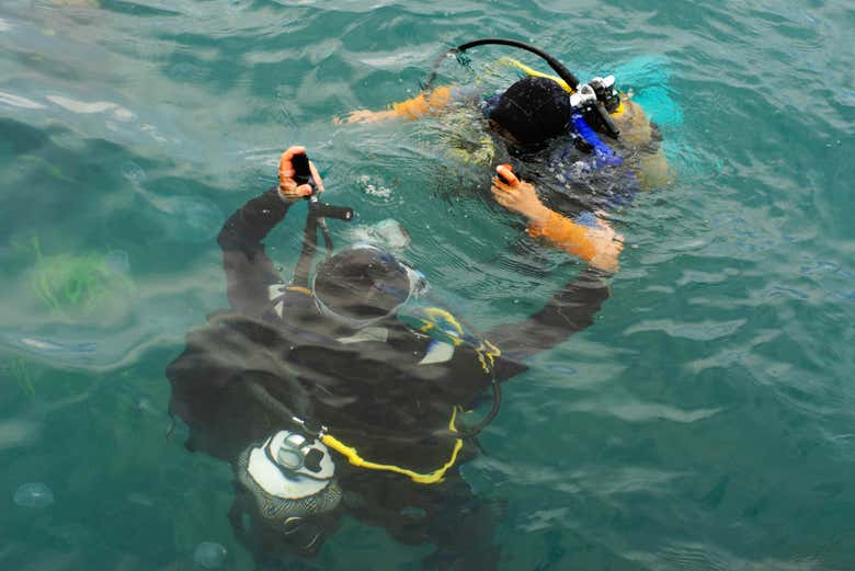 Iniciando a imersão