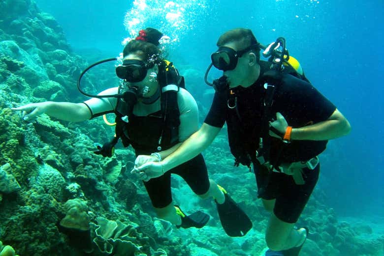 Casal mergulhando