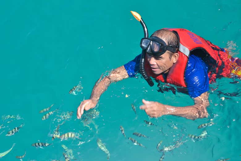 Snorkelling in the Koh Rang National Park