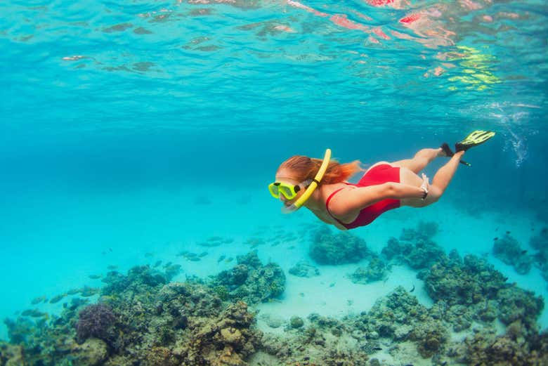 Koh Rang's crystal-clear waters are the perfect place to snorkel