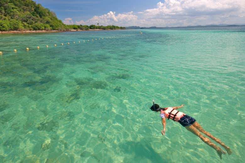 Snorkelling off the coast of Koh Talu