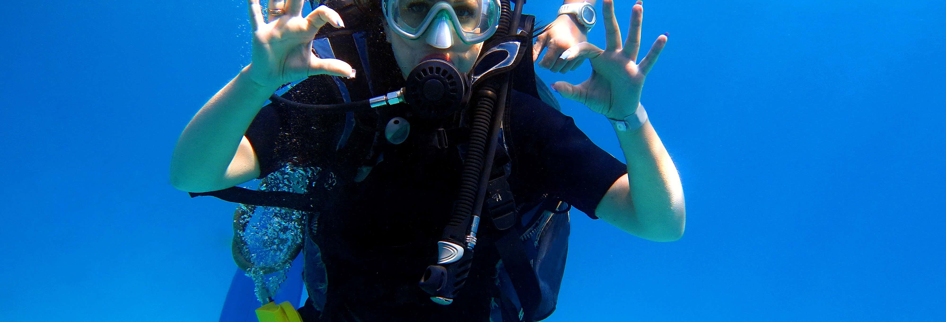 Buceo en Koh Samui