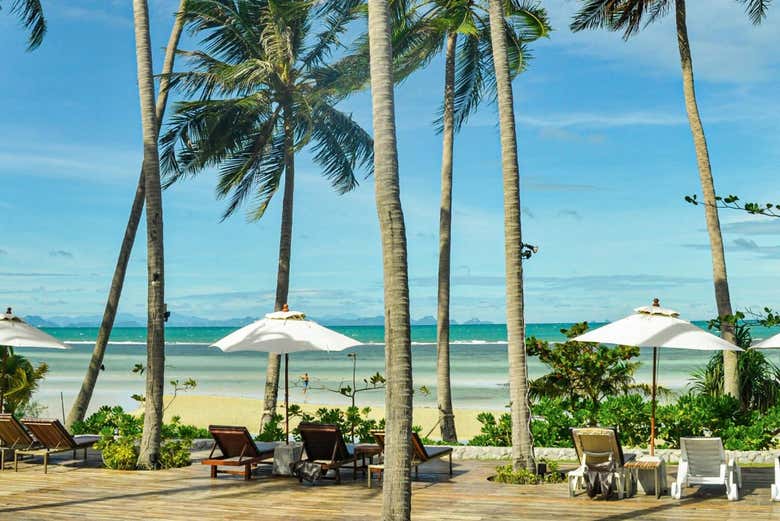 Playa paradisíaca en Koh Samui