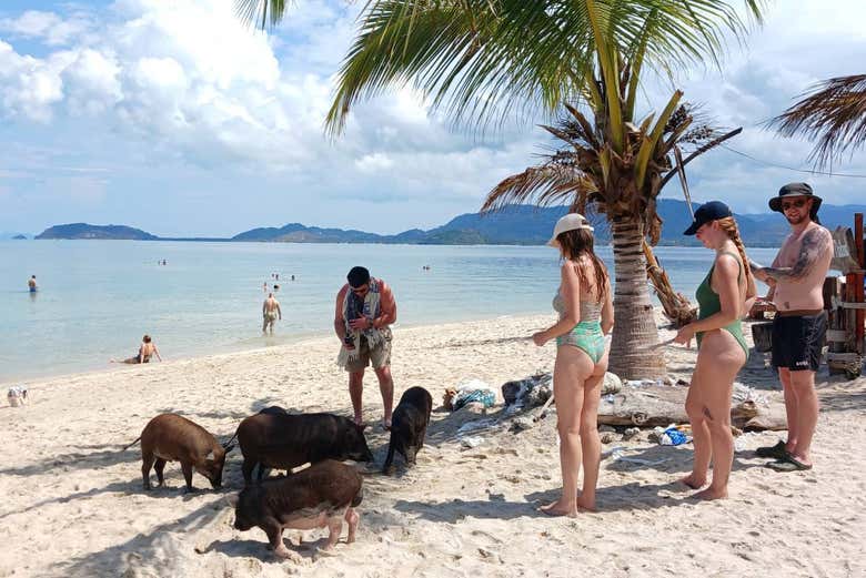 Disfrutando de la excursión a la isla de los cerdos