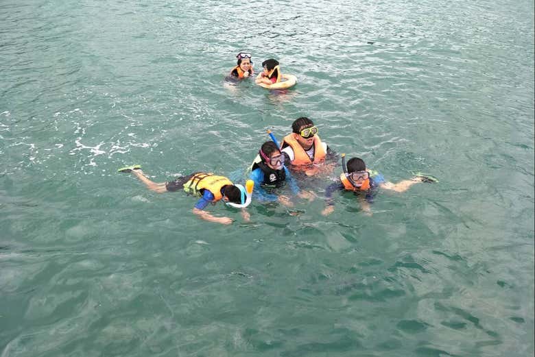 Contemplando la biodiversidad de Koh Samui