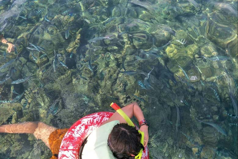 Rodeados por cientos de peces