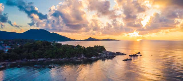 Paseo en barco tradicional con cena