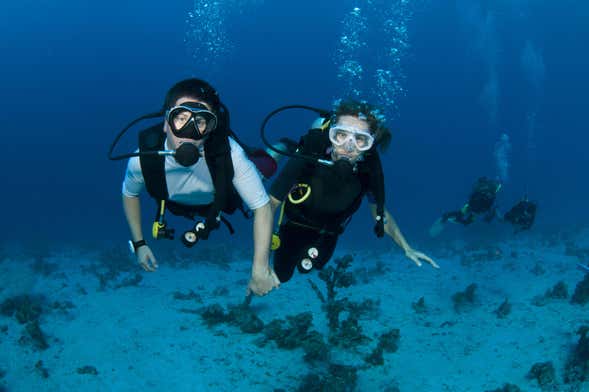 Bautismo de buceo en Koh Tao