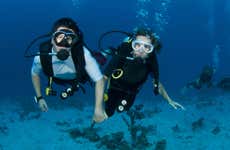 Bautismo de buceo en Koh Tao