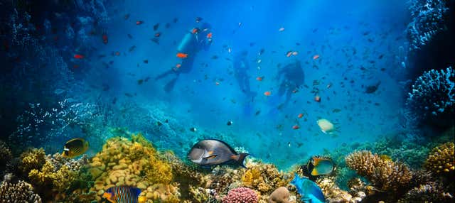 Buceo en Koh Tao