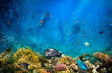 Buceo en Koh Tao
