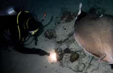 Koh Tao Night Diving