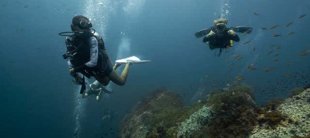 Buceo en Sail Rock