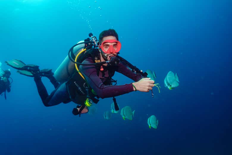 Explorando la vida submarina en Koh Tao