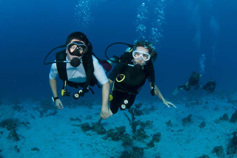 Mergulhando em Koh Tao