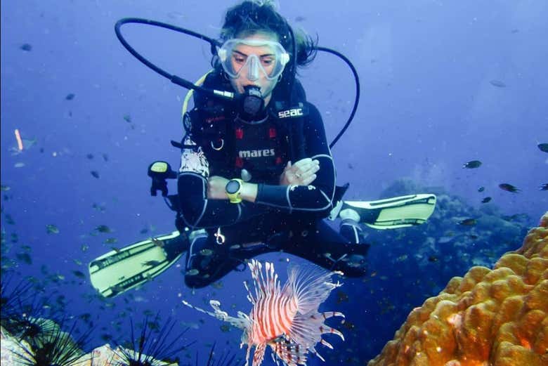 Buceando en Koh Tao