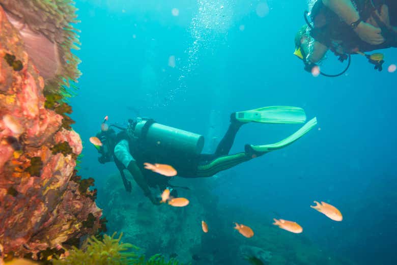 Immersione a Ko Tao