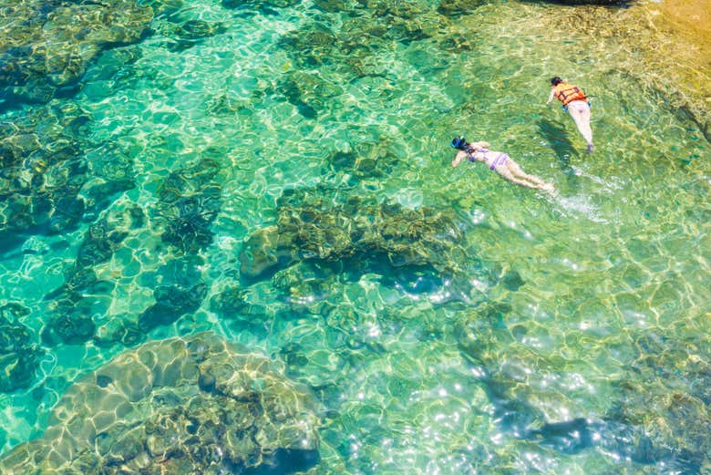 Practicando snorkel en Koh Tao