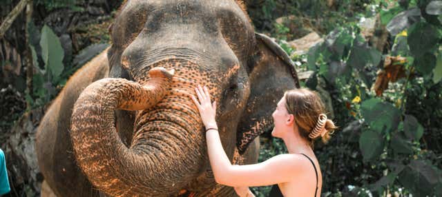 Ao Nang Elephant Sanctuary Trip