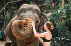 Ao Nang Elephant Sanctuary Trip
