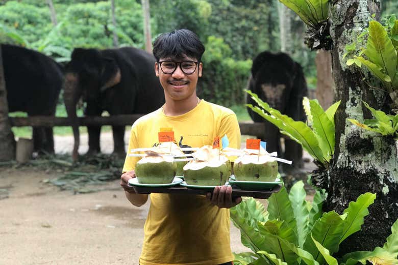 Boisson rafraîchissantes au Sanctuaire des éléphants d'Ao Nang