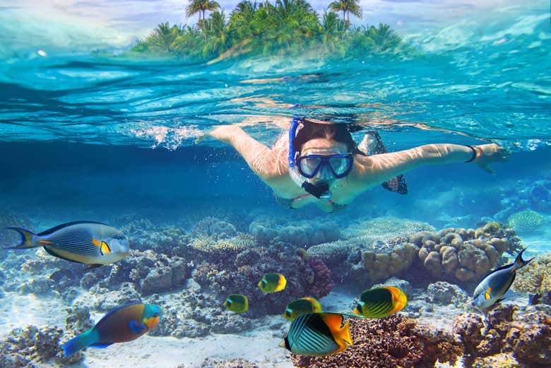 Praticando snorkel em Krabi