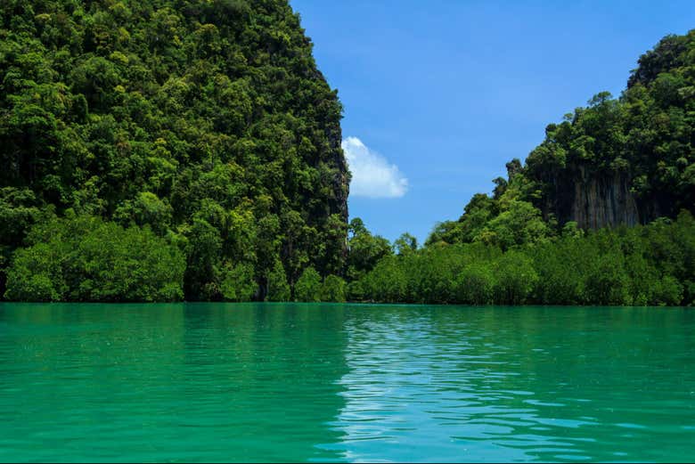 Vegetação que cerca a lagoa Hong