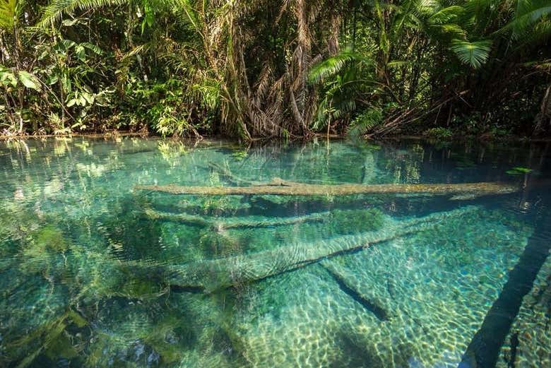 See the lagoon's clear water