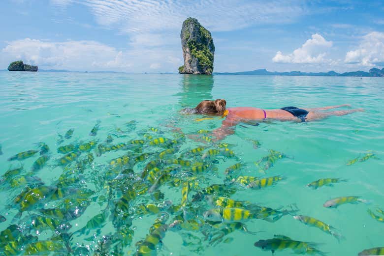 Snorkeling a Poda