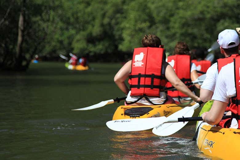 Row, row, row your boat!